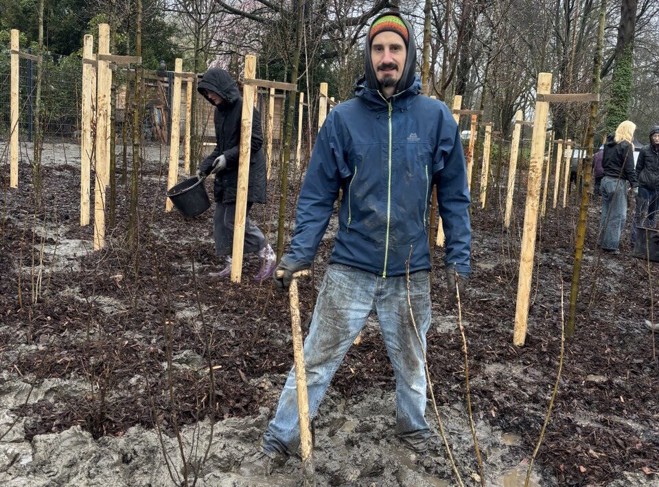 Pflanzung eines Tiny Forest mit dem Flowful Kollektiv